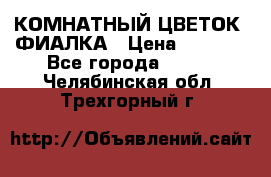 КОМНАТНЫЙ ЦВЕТОК -ФИАЛКА › Цена ­ 1 500 - Все города  »    . Челябинская обл.,Трехгорный г.